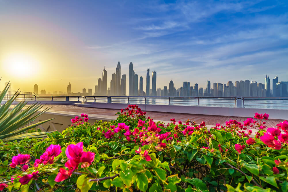 Flower garden with Dubai skyline and sunset in the background.